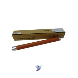 import placeholder for 11361